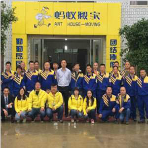 SEM竞价托管案例蚂蚁搬家